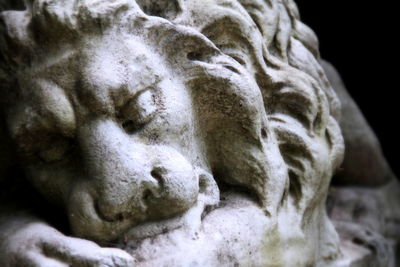 Close-up of lion statue