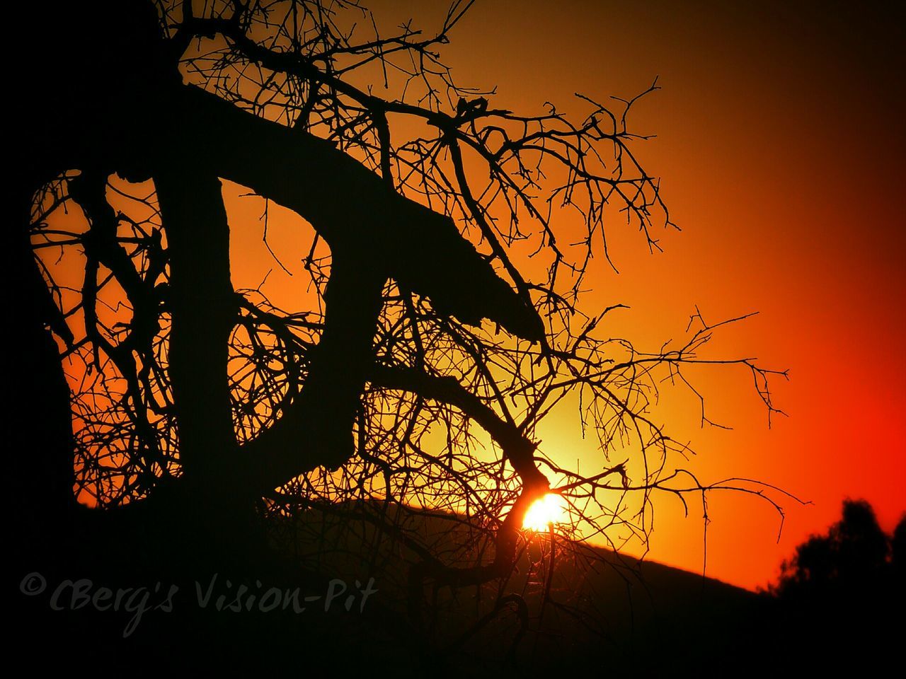 sunset, silhouette, sun, tree, orange color, branch, tranquility, beauty in nature, scenics, bare tree, tranquil scene, nature, sky, idyllic, sunlight, growth, back lit, landscape, dark, outdoors