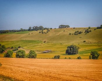 Scenic view of agricultural field against clear sky