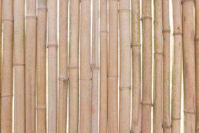 Full frame shot of wooden fence