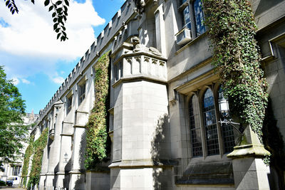 Low angle view of trees and building against sky