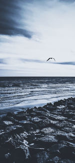 View of birds flying over sea against sky