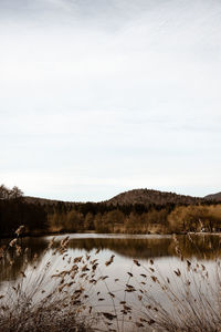 View of lake against sky