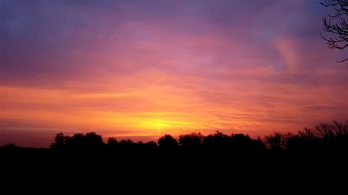 Silhouette trees against sky during sunset