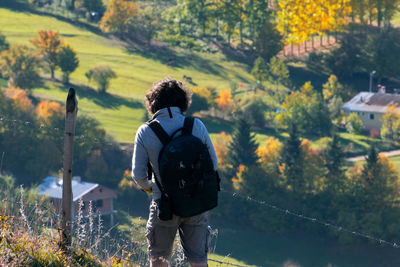 Rear view of man looking at view of trees