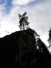 Low angle view of tree against sky