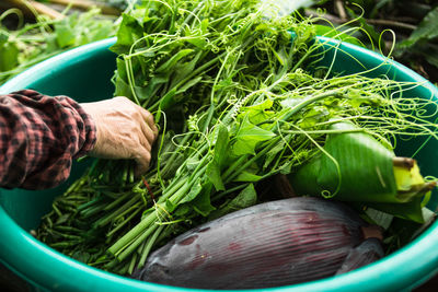 Cropped hand holding vegetables in tub