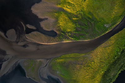 environment