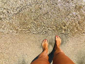 Low section of woman standing at beach