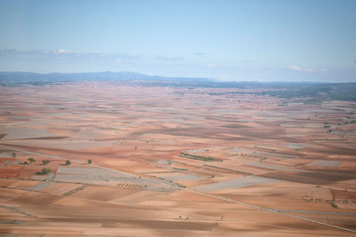 Requena Alcalá