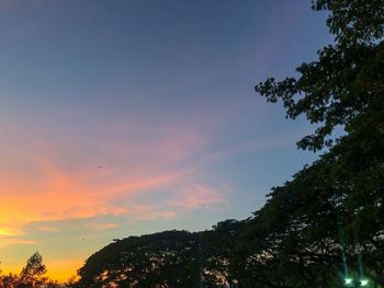Low angle view of silhouette trees against sky during sunset