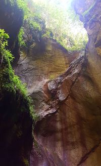 View of rock formation in forest