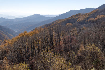 Scenic view of the autumn mountains