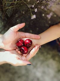 Cropped image of hands holding red berries