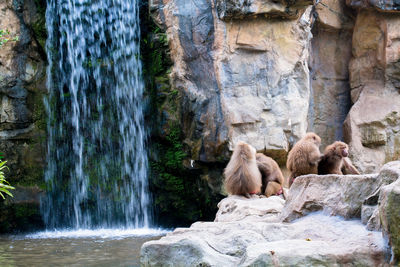 View of waterfall on rocks