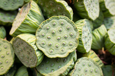 Fresh green lotus seed pod are bind of group for sale. green lotus seeds can eat for healthy food.