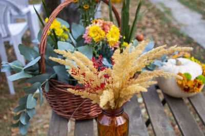 Close-up of potted plant