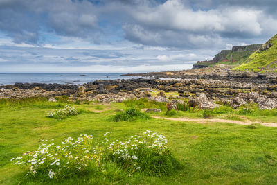 People on main hexagonal rock formation in giants causeway, northern ireland