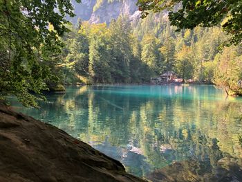 Scenic view of lake in forest during autumn