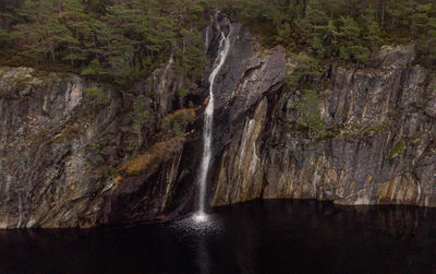 Scenic view of waterfall in forest