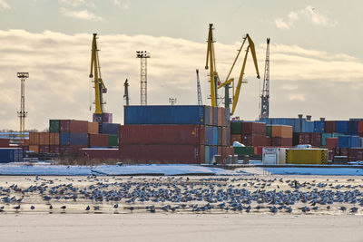 Massive harbor cranes in seaport. heavy load dockside cranes in port, cargo container ship terminal