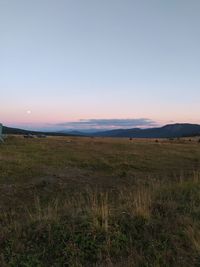 Scenic view of field against clear sky during sunset