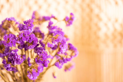 Close-up of bee pollinating on purple flower