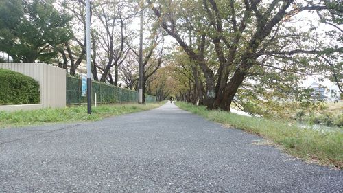 Road amidst trees against sky