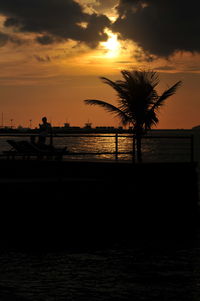 Silhouette trees against calm sea at sunset