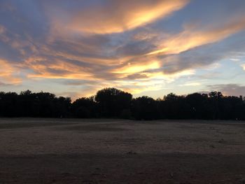 Silhouette trees on field against sky during sunset