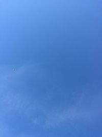 Low angle view of bird flying in sky