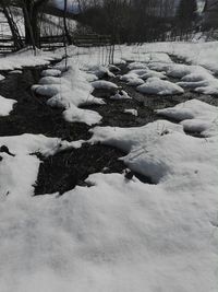 Snow covered landscape