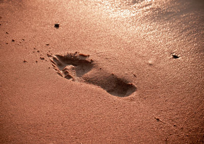 High angle view of footprints on sand at beach