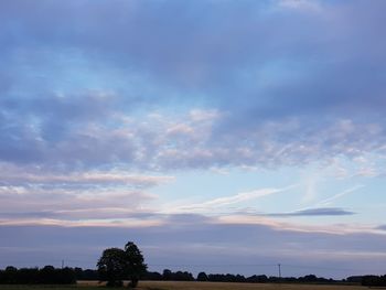 Low angle view of silhouette trees against sky during sunset