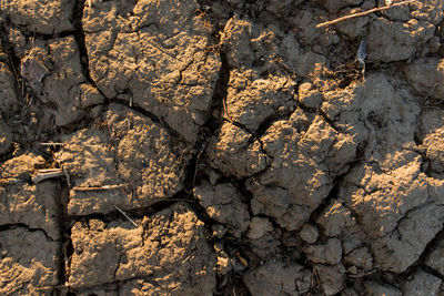 Full frame shot of cracked rock