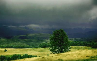 Scenic view of landscape against cloudy sky
