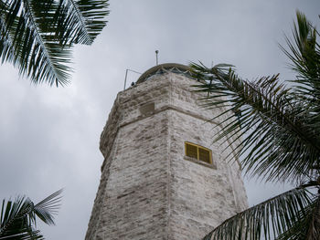 Low angle view of palm tree and building against sky