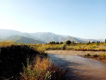 Scenic view of landscape against clear sky