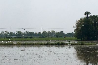 Scenic view of lake against clear sky