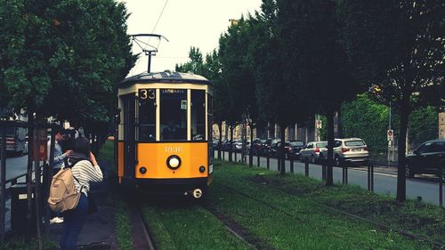 People by cable car amidst trees in city