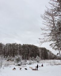 People on snow covered landscape against sky