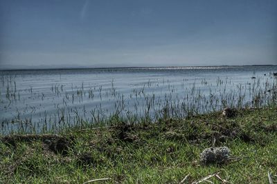 Scenic view of beach against sky