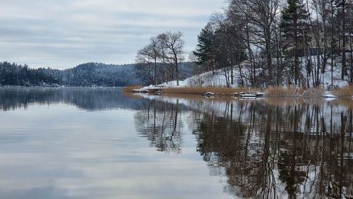 reflection