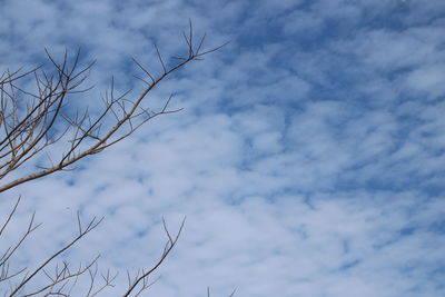 Low angle view of bare tree against cloudy sky