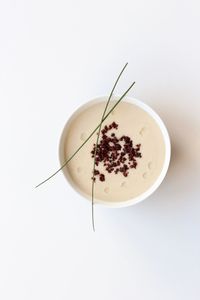 Close-up of food on white background