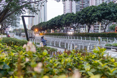 Plants by street against buildings in city