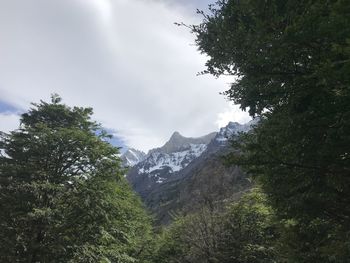 Low angle view of trees and mountains against sky
