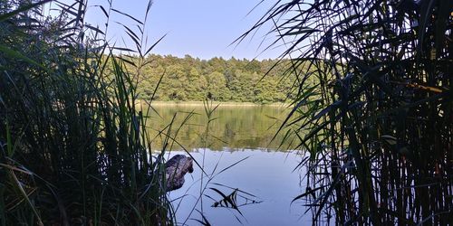 Scenic view of lake against clear sky