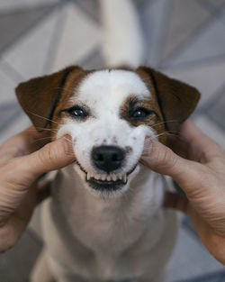 Portrait of person holding dog