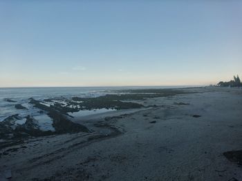 Scenic view of beach against clear sky